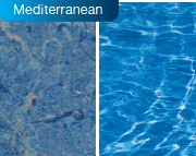 Mediterranean