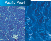 Pacific Pearl